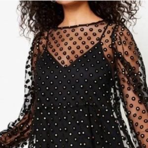 Loft Plus Metallic Polka Dot Mesh Overlay Dress Size 16